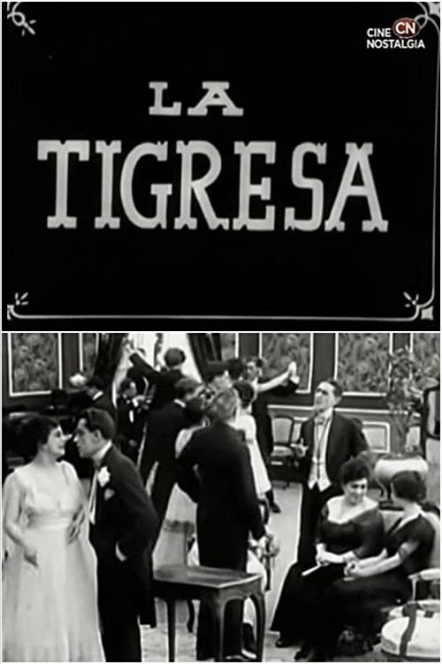 The Tigress (1917) poster