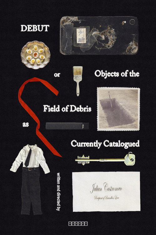 Debut, or, Objects of the Field of Debris as Currently Catalogued (2025) poster
