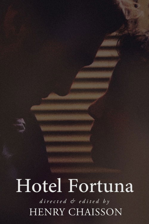 Hotel Fortuna (2013) poster