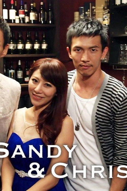 Sandy & Chris (2013) poster
