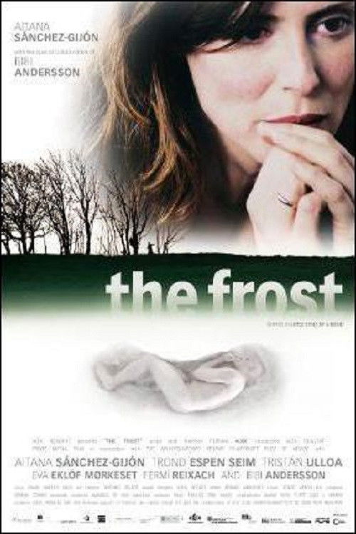 The Frost (2009) poster
