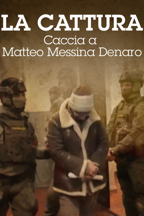 La cattura - Caccia a Matteo Messina Denaro (2023) poster