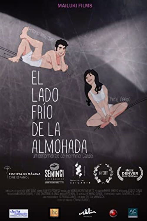 El lado frío de la almohada (2013) poster