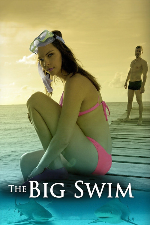 The Big Swim (2016) poster