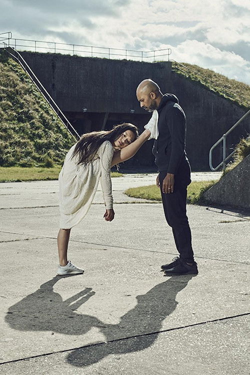 Can We Live with Robots? (2017) poster