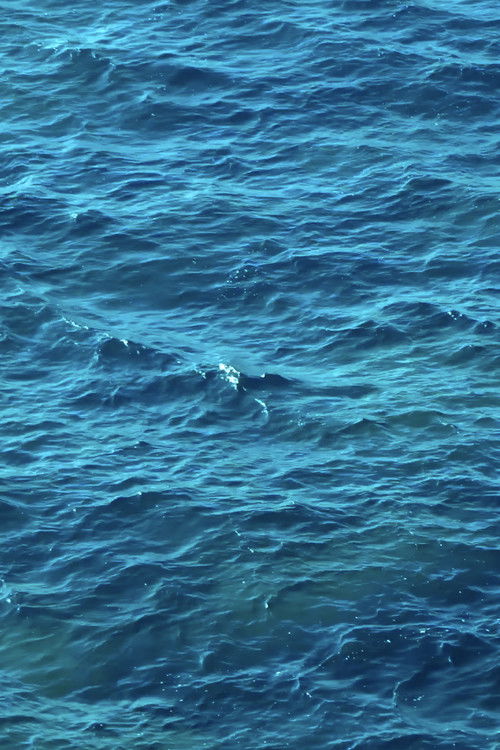 Desde la mar (2022) poster