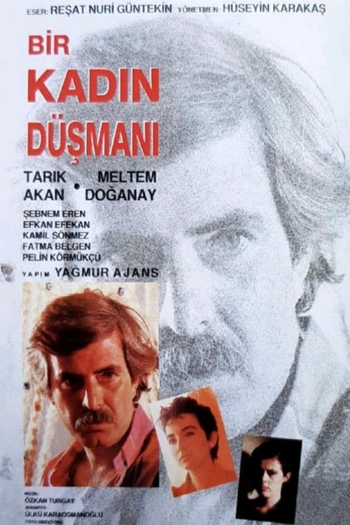 Bir Kadın Düşmanı (1991) poster