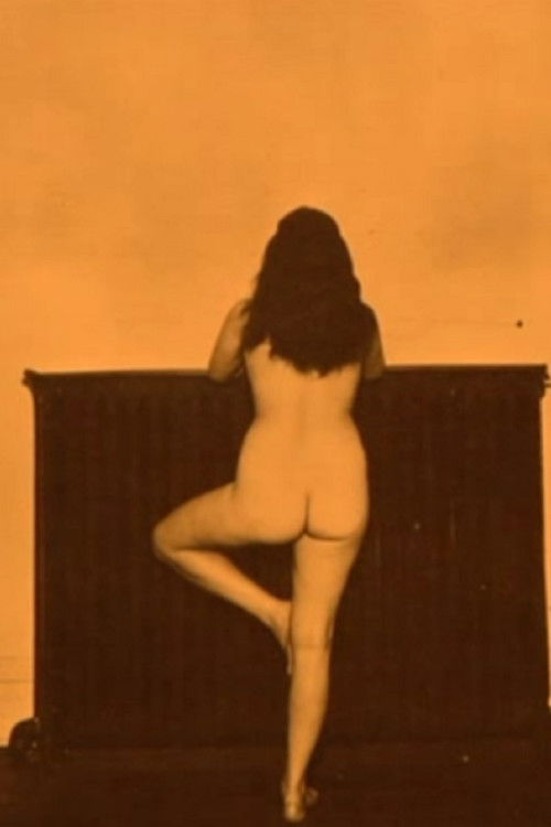 Dialogues, or A Waist Is a Terrible Thing to Mind (2009) poster