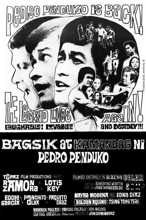 Bagsik At Kamandag Ni Pedro Penduko (1974) poster