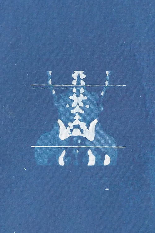 La próxima te acompaño (2023) poster