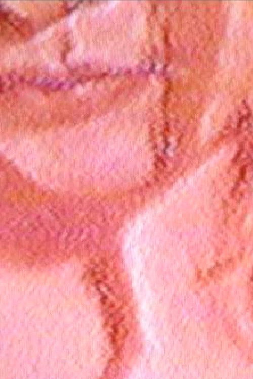 D A N C E R (2017) poster