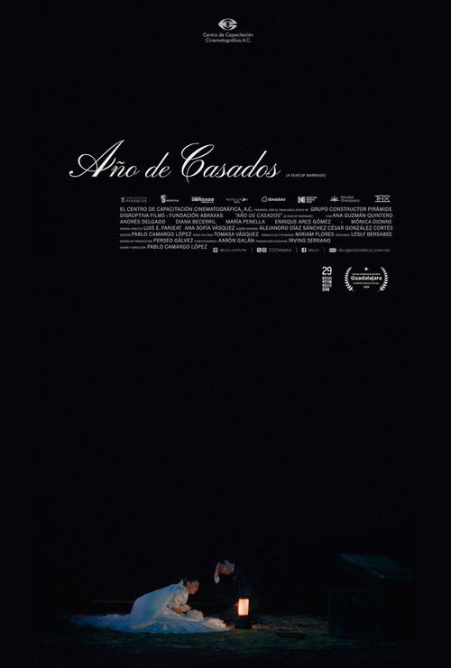 A Year of Marriage (2025) poster