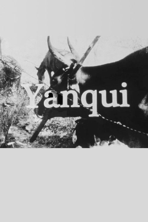 Yanqui WALKER and the OPTICAL REVOLUTION (2009) poster