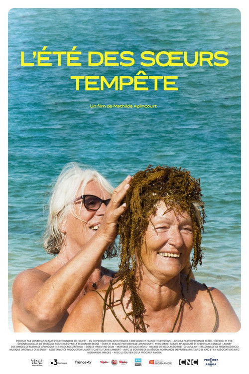 L'été des sœurs Tempête (2025) poster