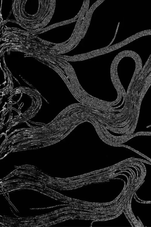 A Free Inquiry Into Air: 110721 (2021) poster