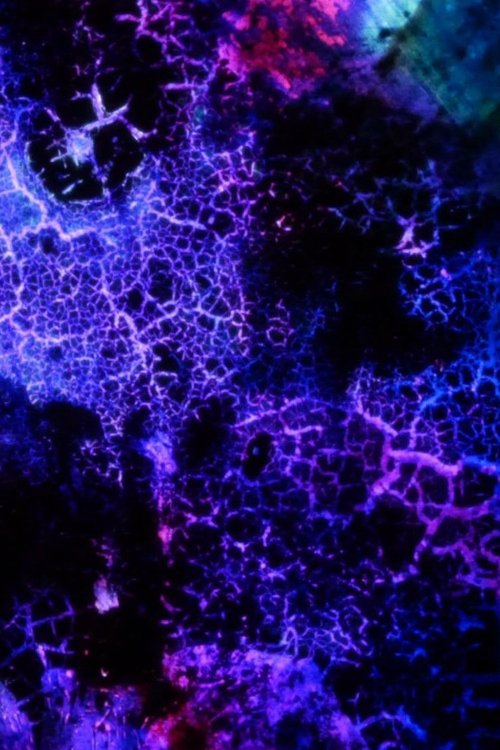 Elementary Phrases (1994) poster