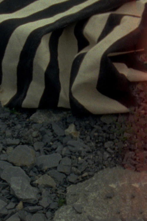 Agatha (2012) poster