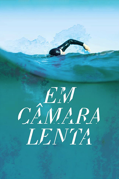 Em Câmara Lenta (2012) poster