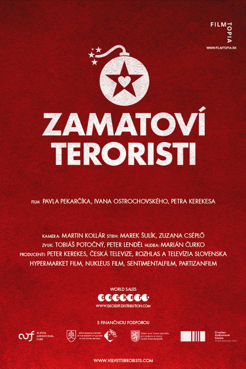 Velvet Terrorists (2013) poster