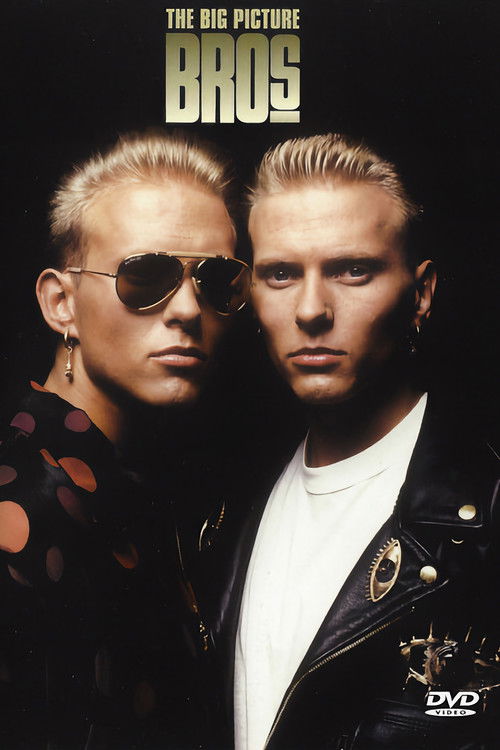 Bros - The Big Picture (2004) poster