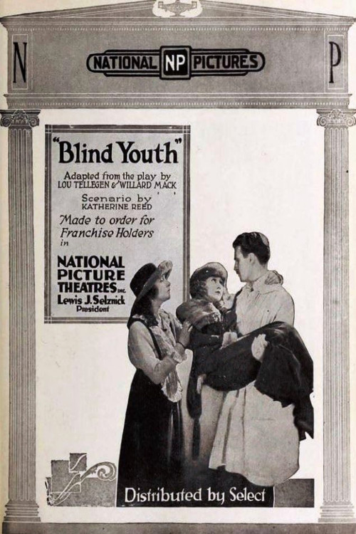 Blind Youth (1920) poster