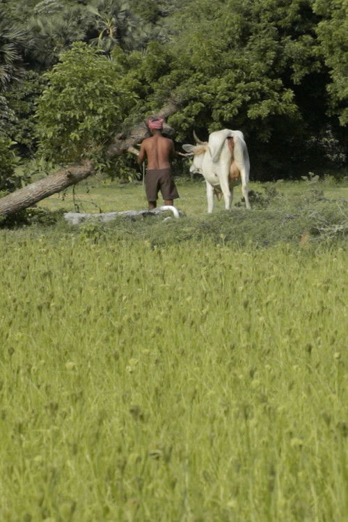 Where I Can’t Be Found (2014) poster