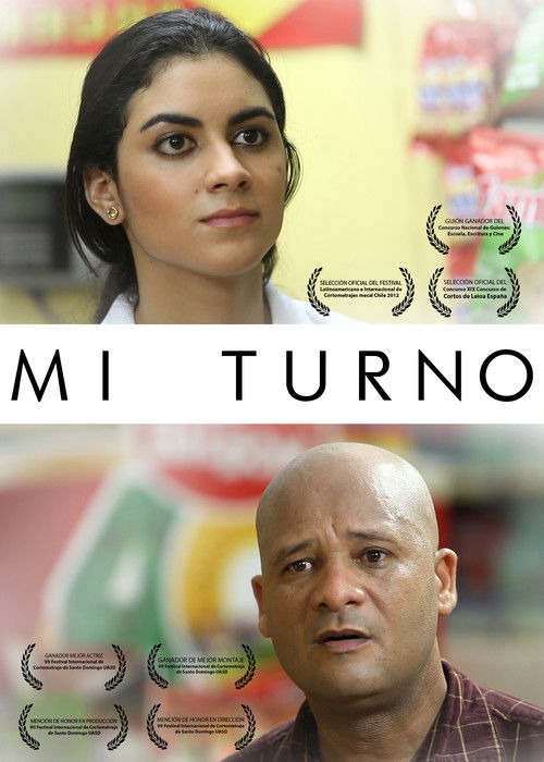 Mi Turno (2012) poster