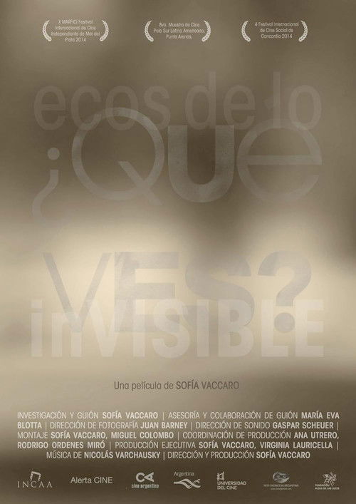 ¿Qué ves? Ecos de lo invisible (2014) poster