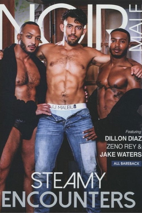 Steamy Encounters (2023) poster