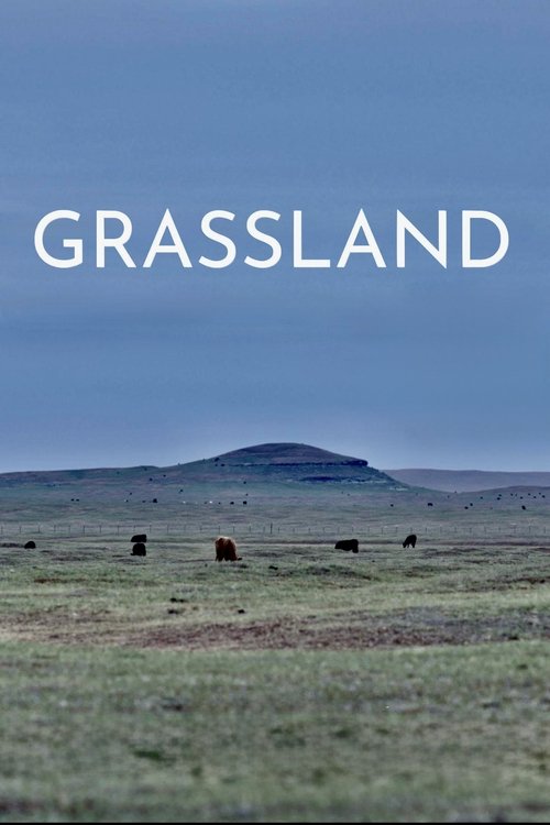 Grassland (2023) poster