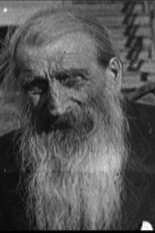 Au pays des esprits (2009) poster