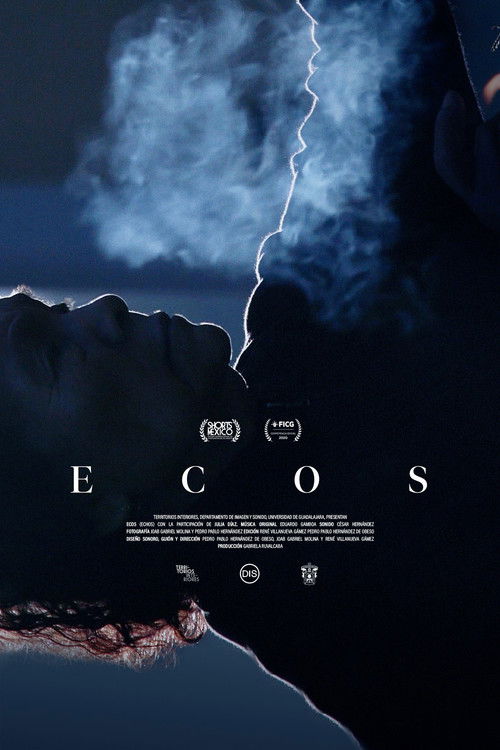 Ecos (2020) poster