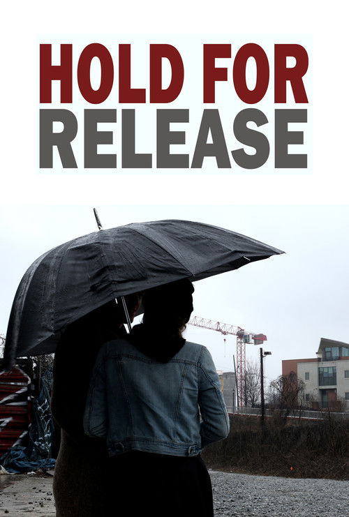 Hold For Release (2017) poster