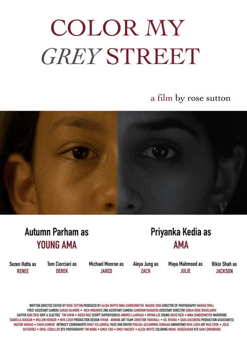 Color My Grey Street (2024) poster