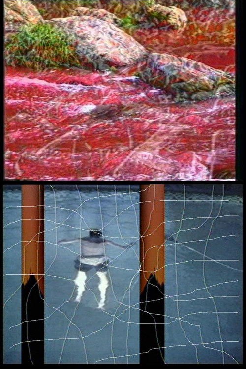 Navigations (1995) poster