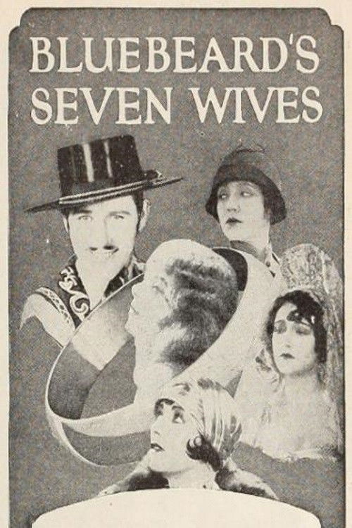 Bluebeard's Seven Wives (1926) poster