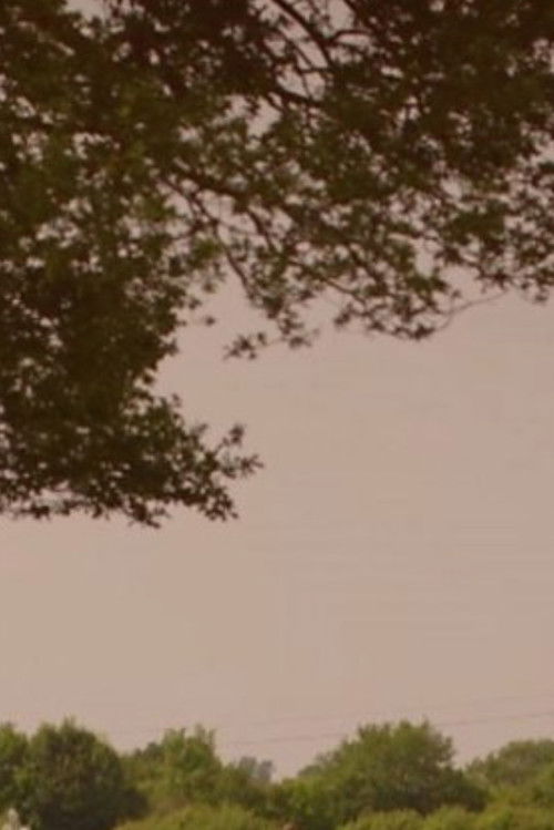 What's Killing Our Bees? (2013) poster