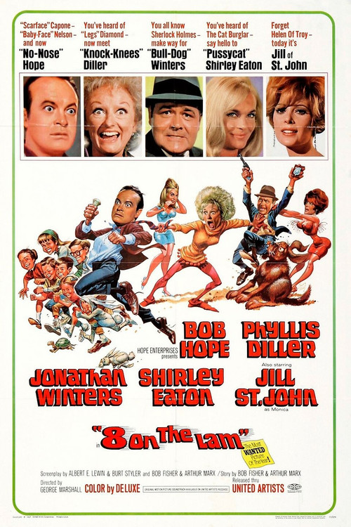 Eight on the Lam (1967) poster