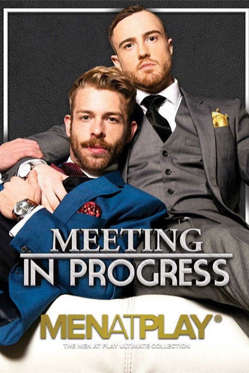 Meeting in Progress (2020) poster