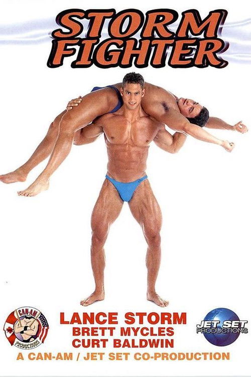 Storm Fighter (2001) poster