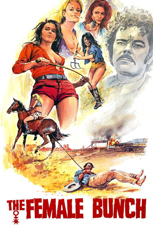 The Female Bunch (1971) poster