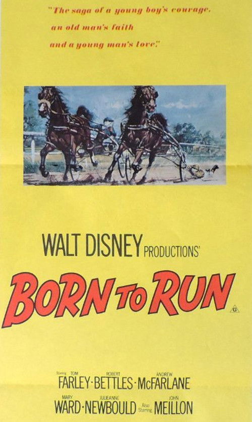 Born to Run (1977) poster