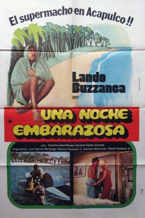 Una noche embarazosa (1977) poster