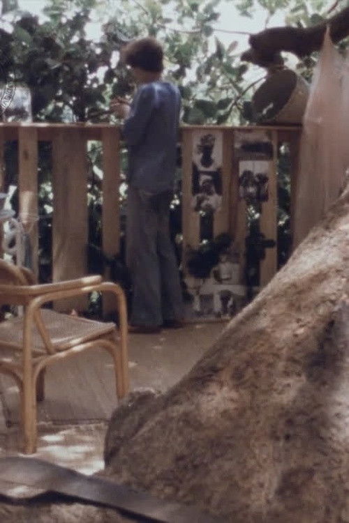 Un balcon en Afrique (1980) poster