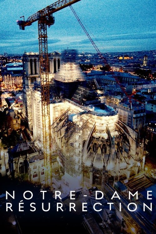Notre-Dame Résurrection (2024) poster