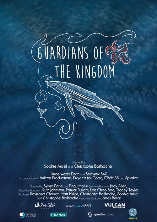 Guardians of the Kingdom (2020) poster