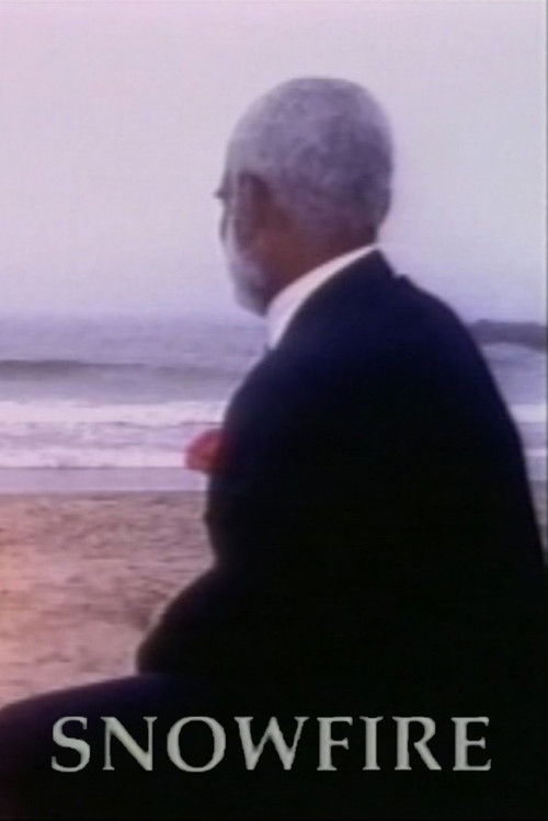 Snowfire (1994) poster