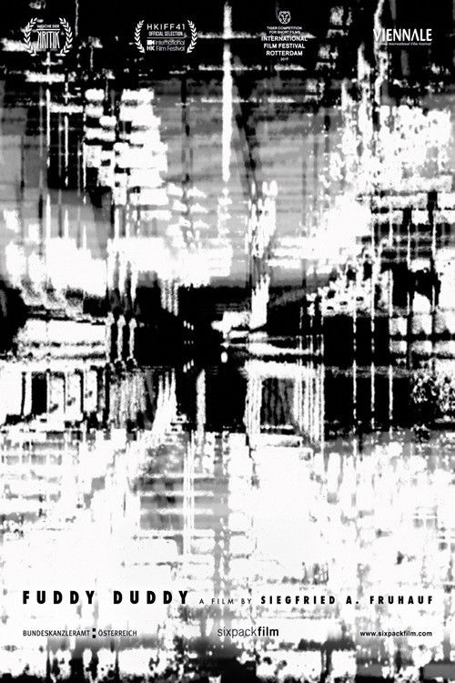 Fuddy Duddy (2016) poster