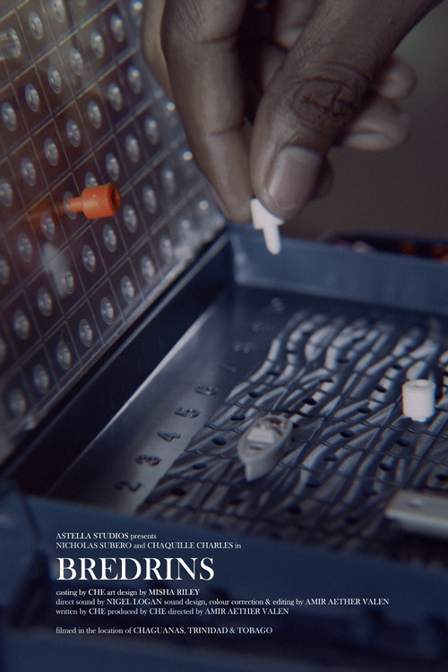 Bredrins (2025) poster