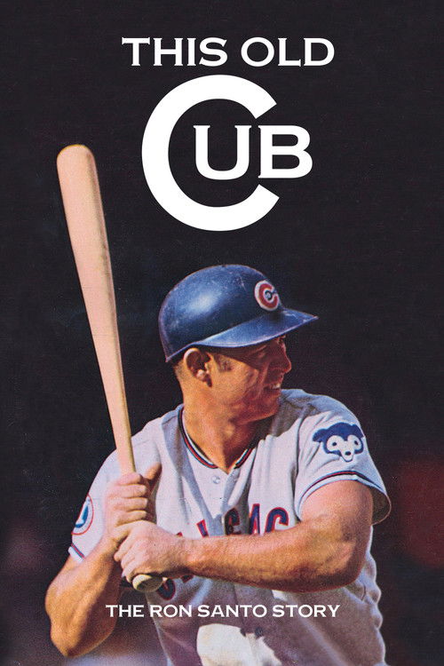 This Old Cub (2004) poster